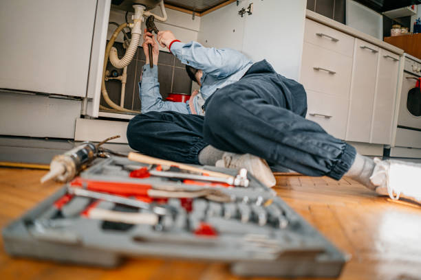 Best Residential Plumbing Services  in Waterloo, IN